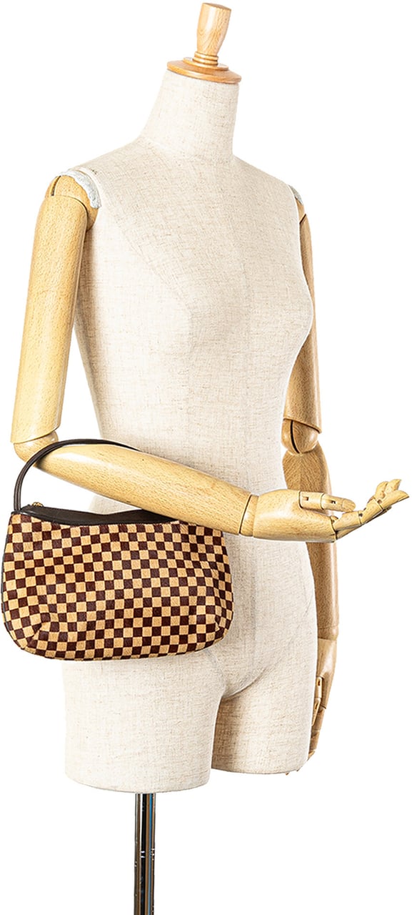 Louis Vuitton Damier Sauvage Tigre Bruin