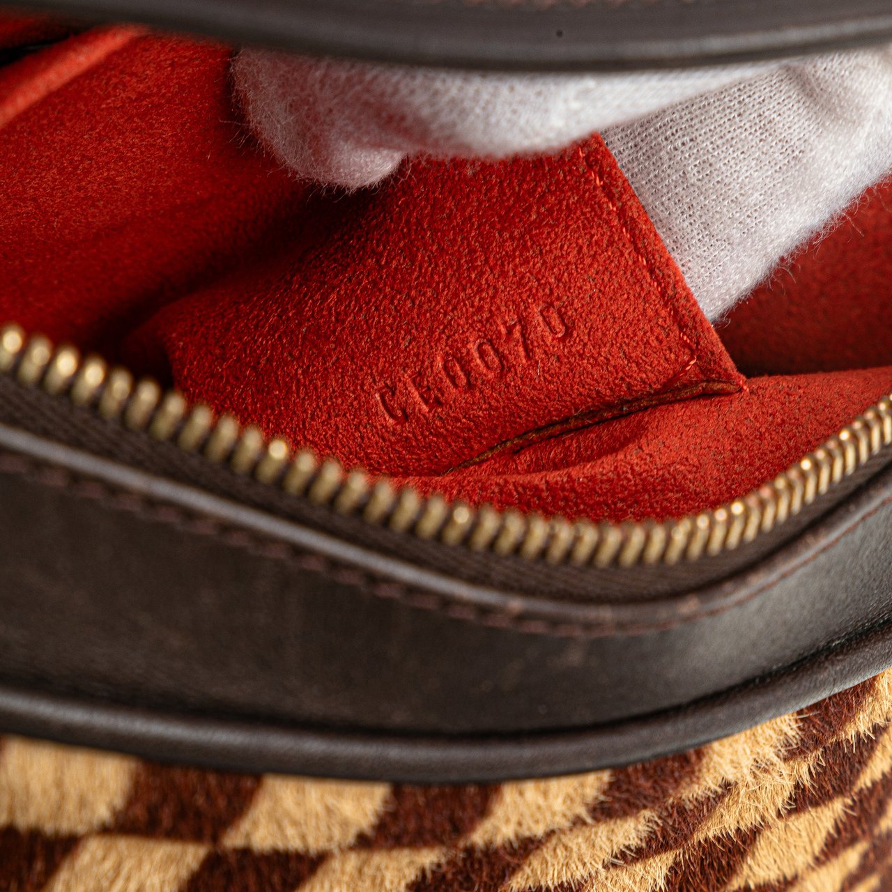 Louis Vuitton Damier Sauvage Tigre Bruin