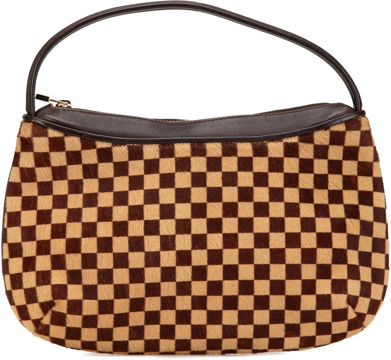 Louis Vuitton Damier Sauvage Tigre Bruin