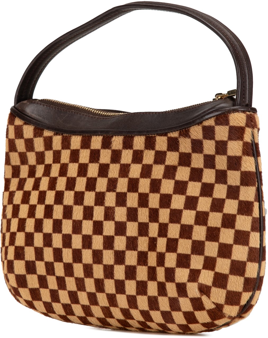 Louis Vuitton Damier Sauvage Tigre Bruin