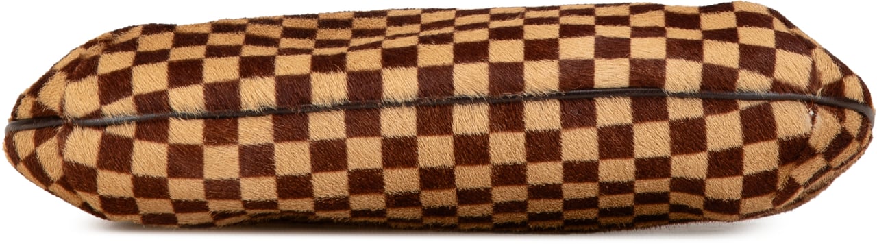 Louis Vuitton Damier Sauvage Tigre Bruin