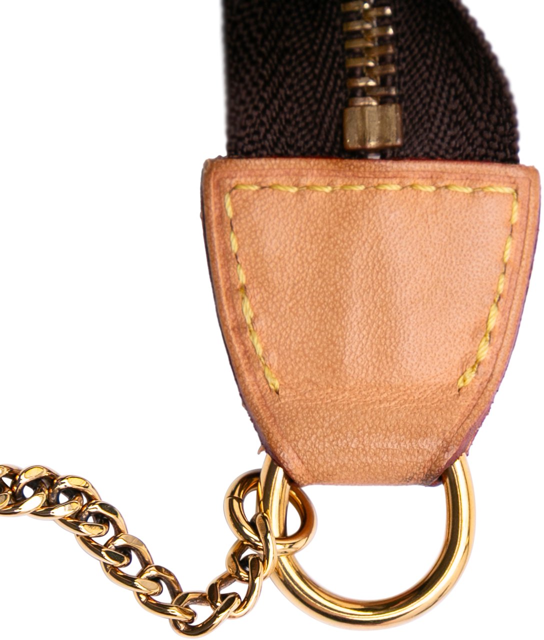Louis Vuitton Monogram Mini Pochette Accessoires Bruin