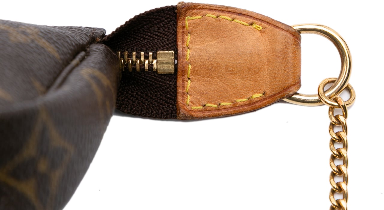 Louis Vuitton Monogram Mini Pochette Accessoires Bruin