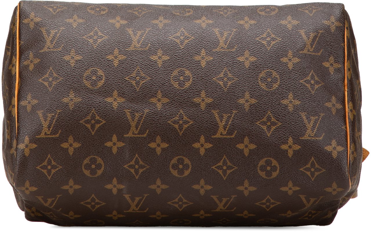 Louis Vuitton Monogram Speedy 30 Bruin