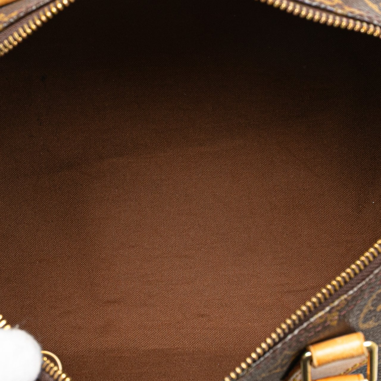 Louis Vuitton Monogram Speedy 30 Bruin