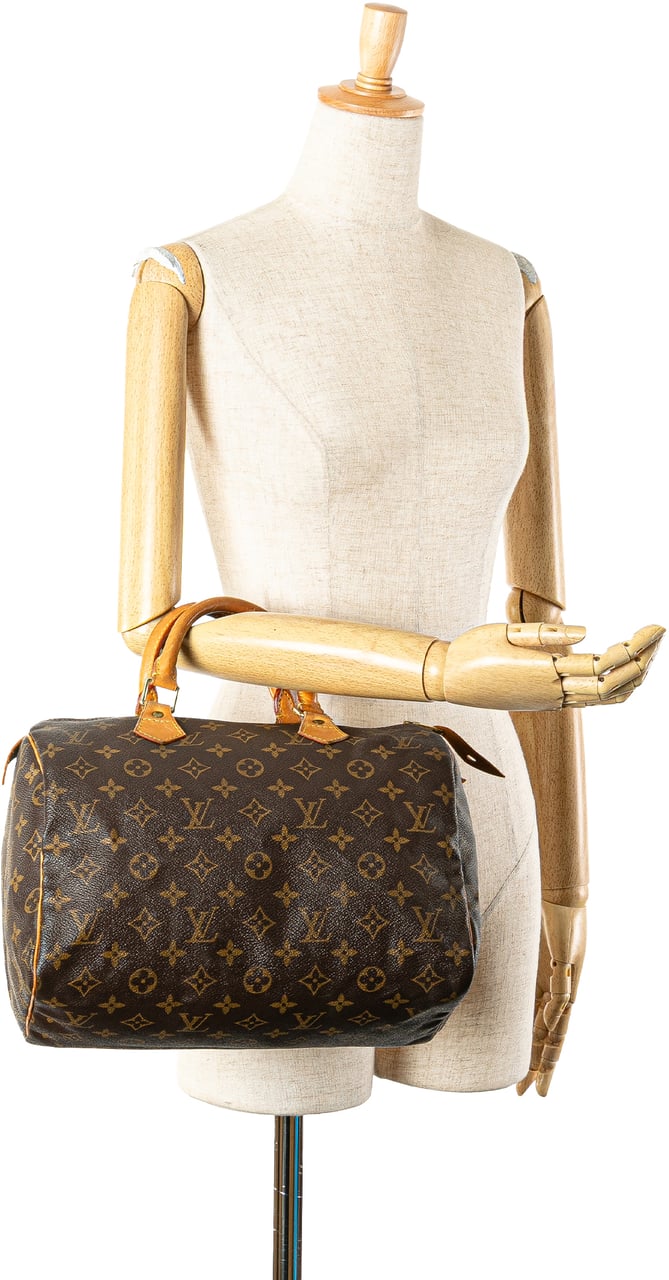 Louis Vuitton Monogram Speedy 30 Bruin