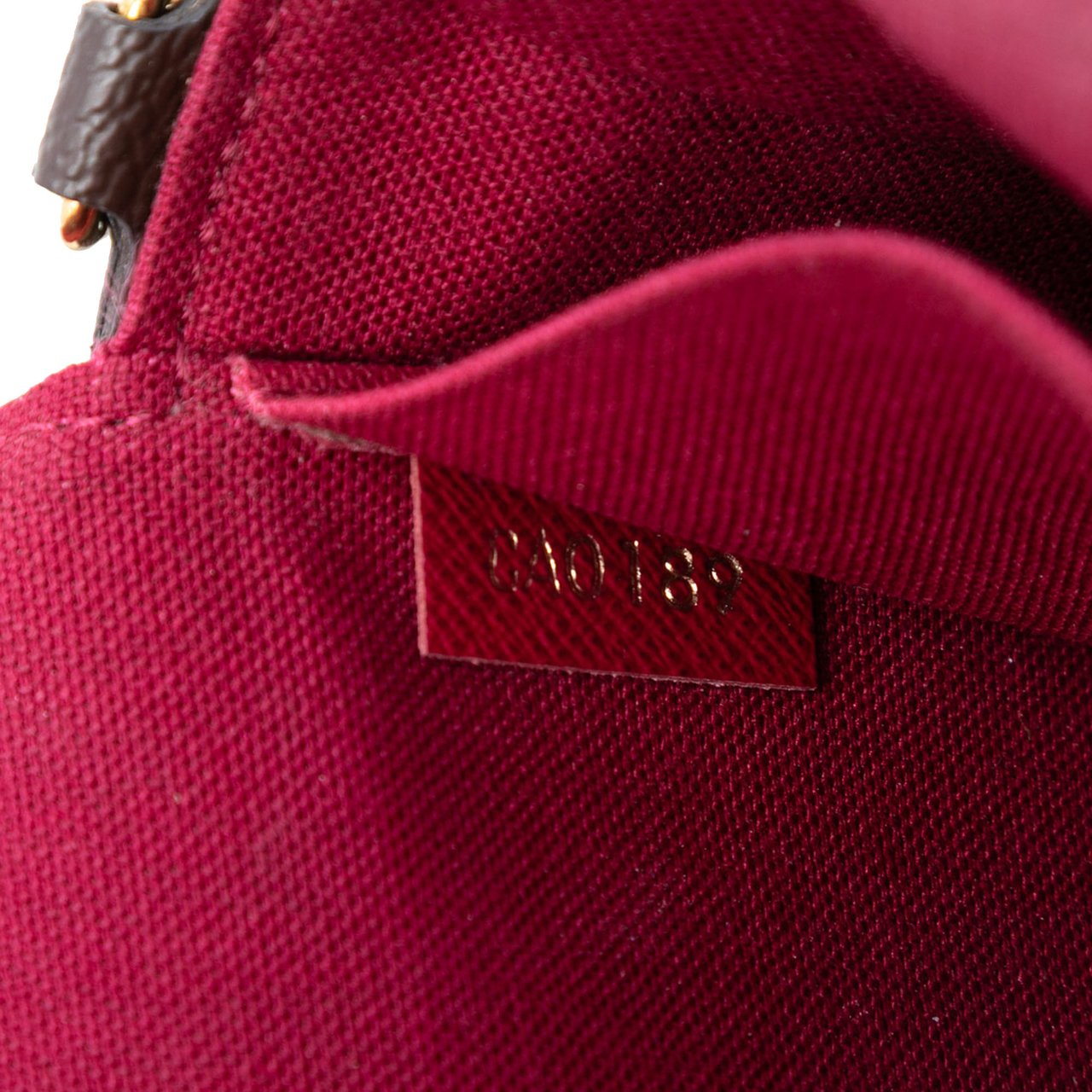 Louis Vuitton Monogram Pochette Felicie Bruin