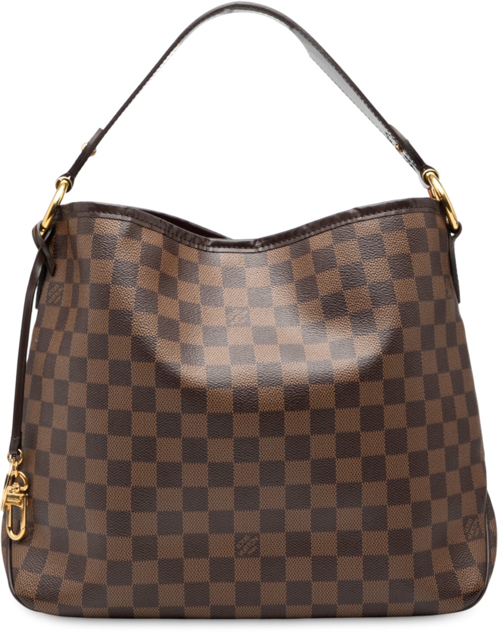 Louis Vuitton Damier Ebene Delightful PM Bruin