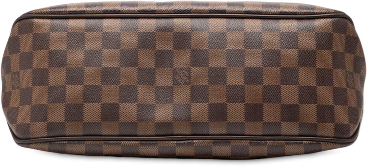 Louis Vuitton Damier Ebene Delightful PM Bruin