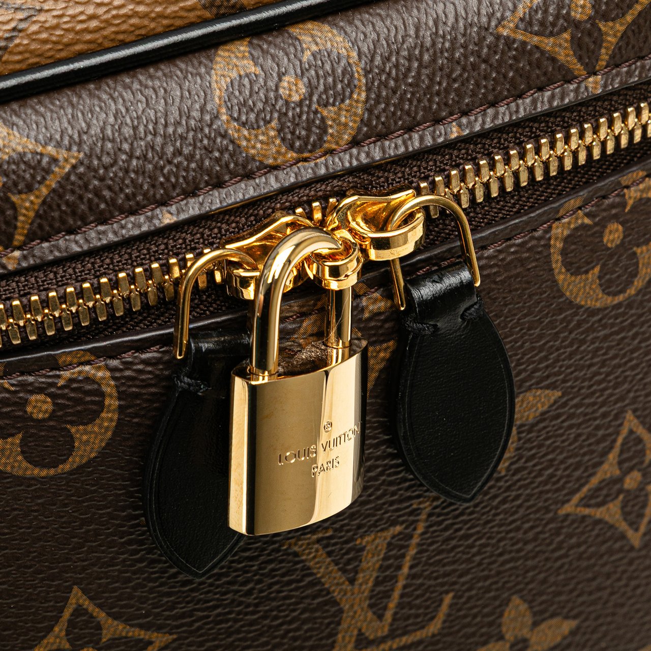 Louis Vuitton Monogram Reverse Vanity PM Bruin