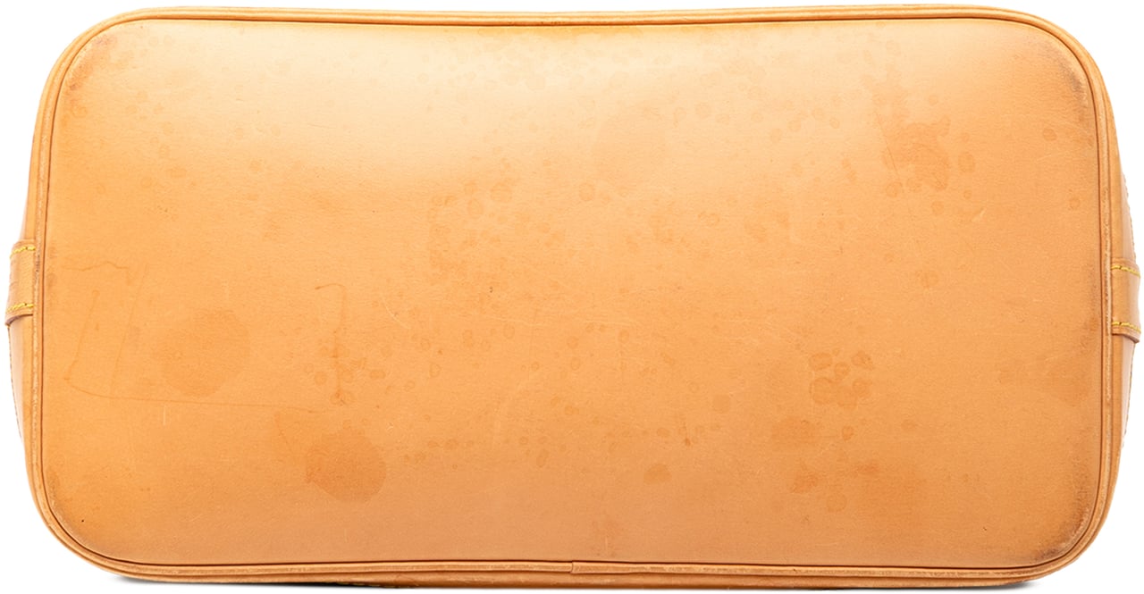 Louis Vuitton Monogram Alma PM Bruin