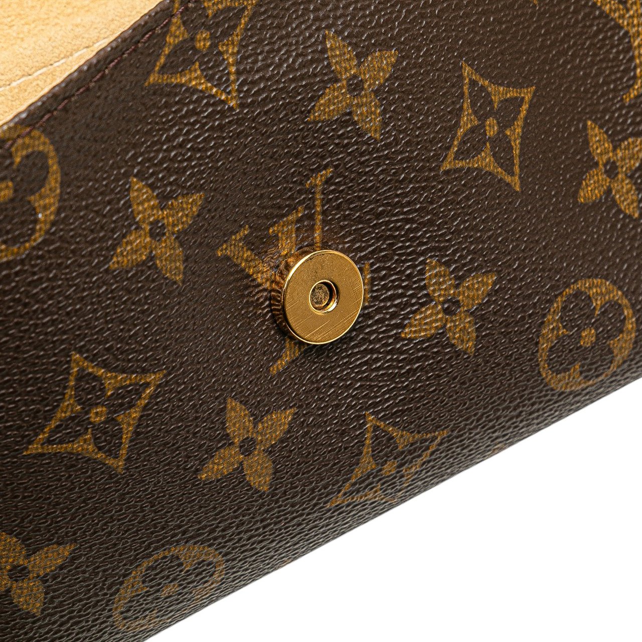 Louis Vuitton Monogram Pochette Twin GM Bruin