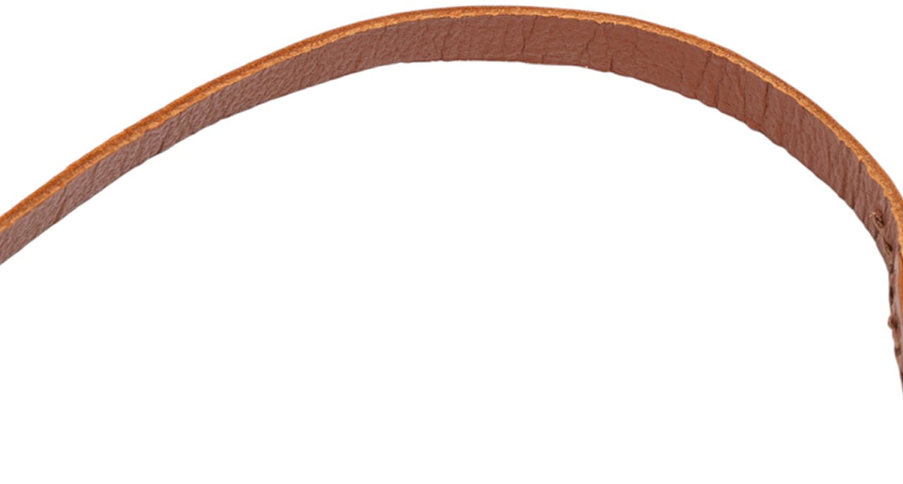 Louis Vuitton Monogram Papillon Pochette Bruin