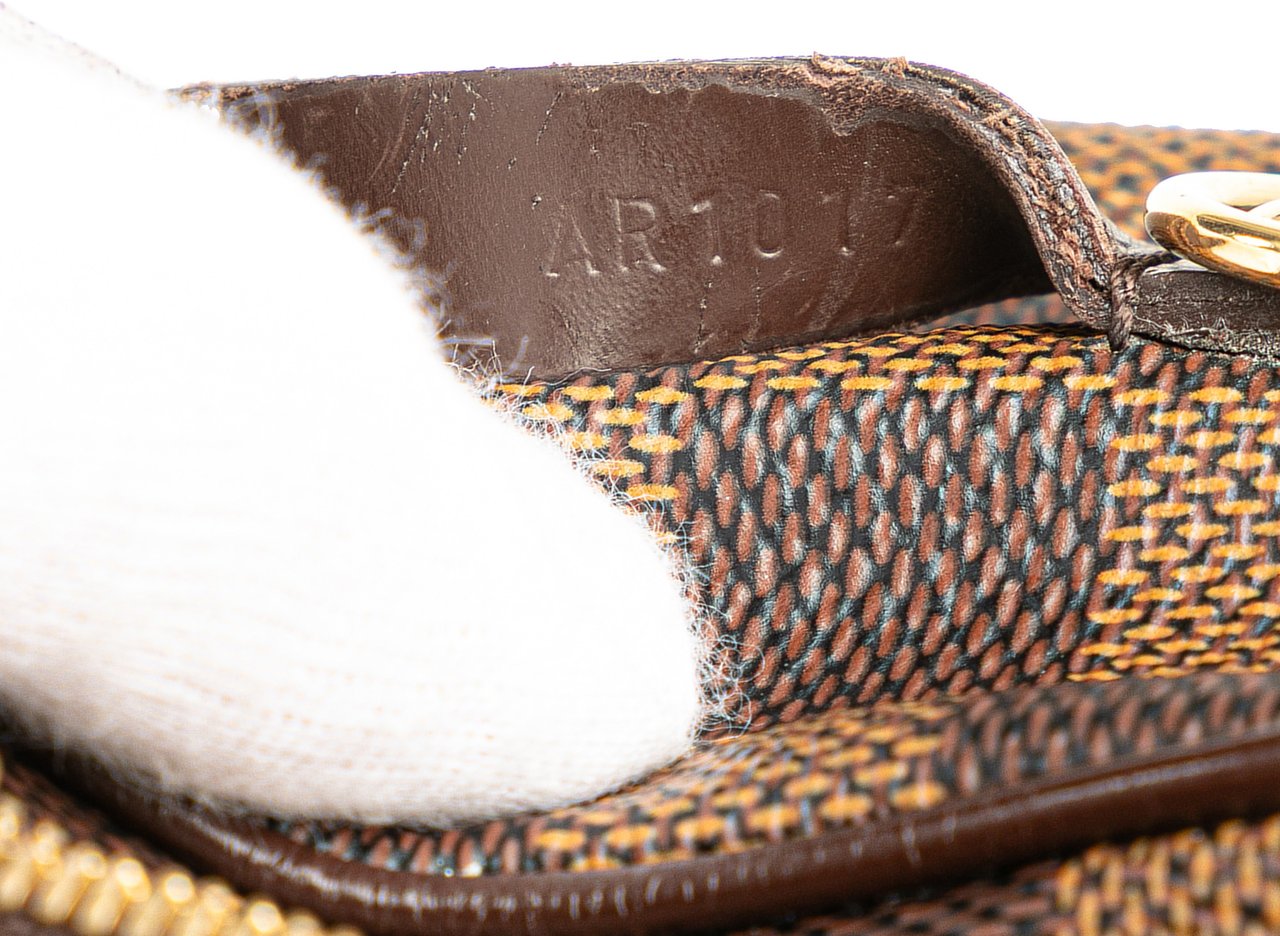 Louis Vuitton Damier Ebene Etui Okapi PM Bruin