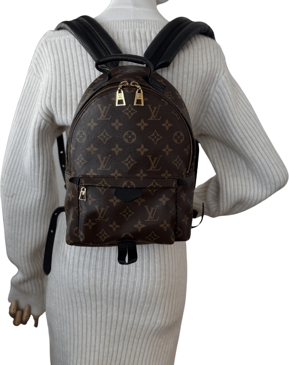 Louis Vuitton Louis Vuitton Palm Springs Rucksack PM M44871 Braun / sehr gut Bruin