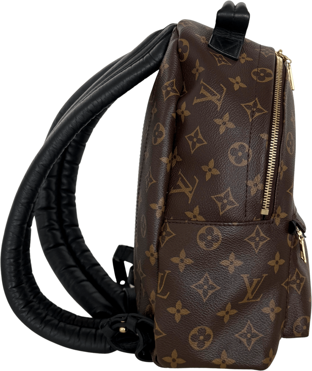 Louis Vuitton Louis Vuitton Palm Springs Rucksack PM M44871 Braun / sehr gut Bruin