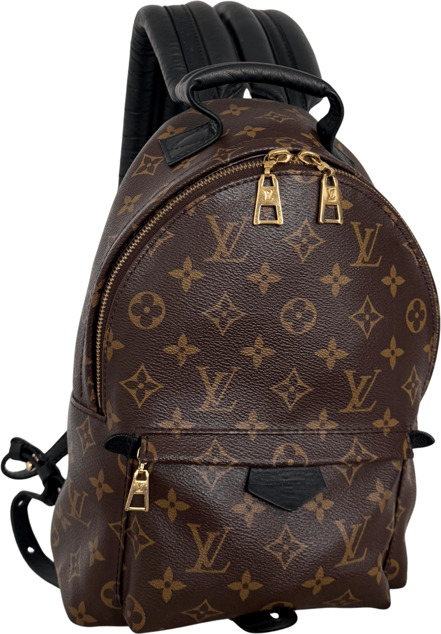 Louis Vuitton Louis Vuitton Palm Springs Rucksack PM M44871 Braun / sehr gut Bruin