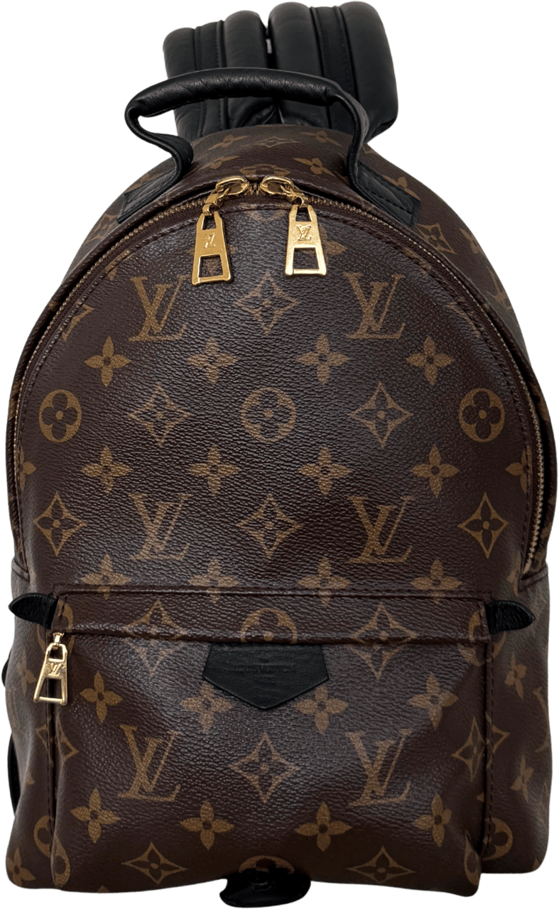 Louis Vuitton Louis Vuitton Palm Springs Rucksack PM M44871 Braun / sehr gut Bruin