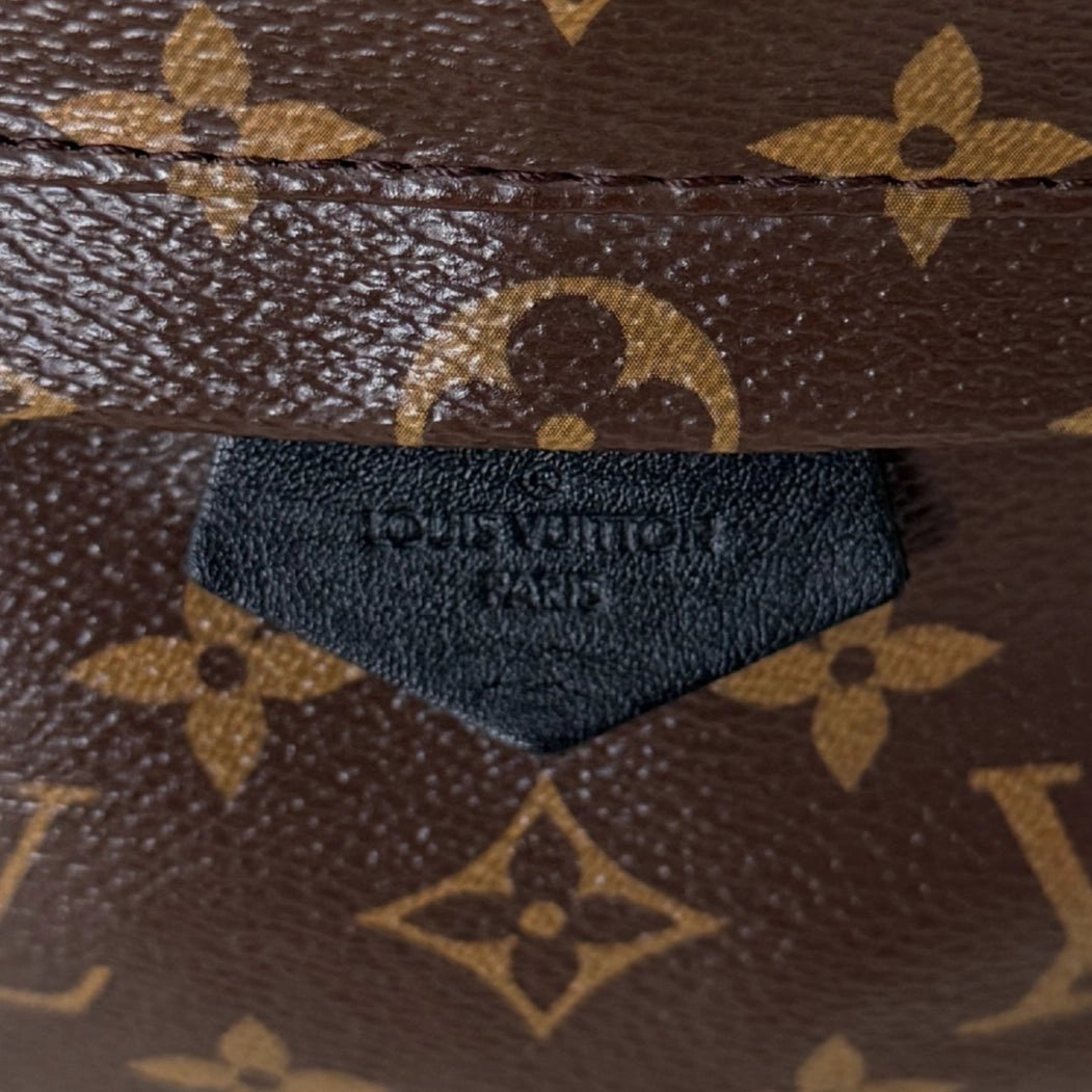Louis Vuitton Louis Vuitton Palm Springs Rucksack PM M44871 Braun / sehr gut Bruin