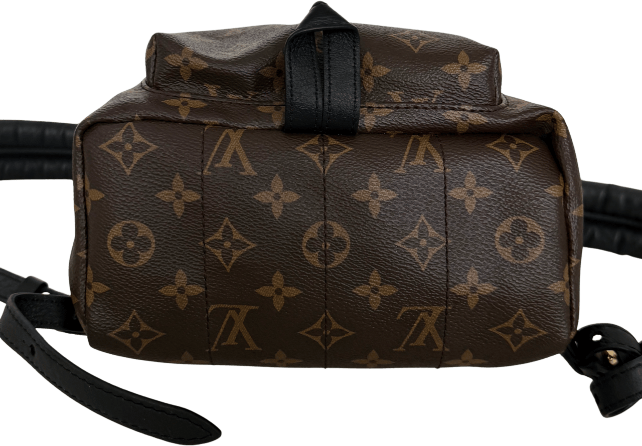 Louis Vuitton Louis Vuitton Palm Springs Rucksack PM M44871 Braun / sehr gut Bruin