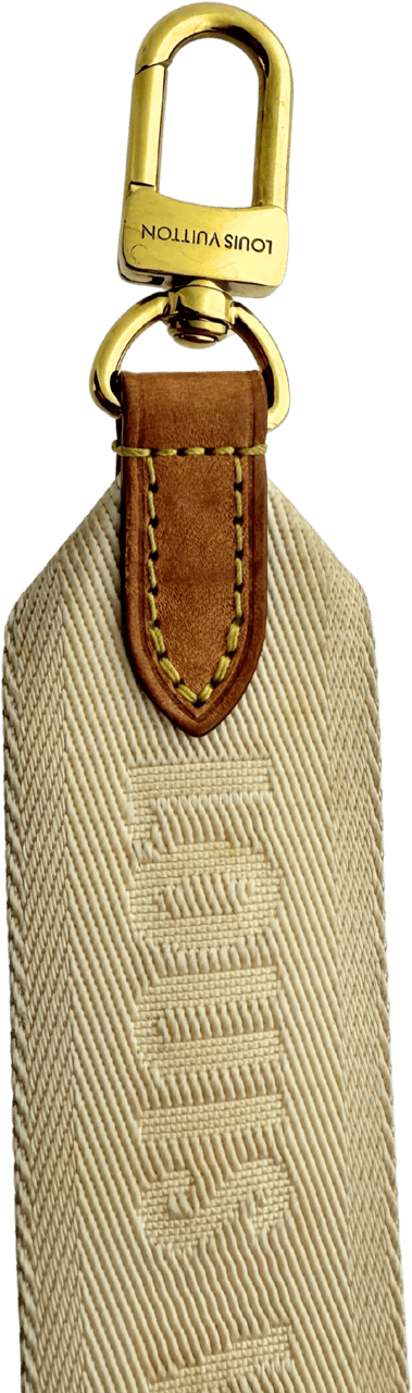 Louis Vuitton Louis Vuitton x Yayoi Kusama Multi Pochette Accessoires Monogram Multicolor M46385 / sehr gut Divers