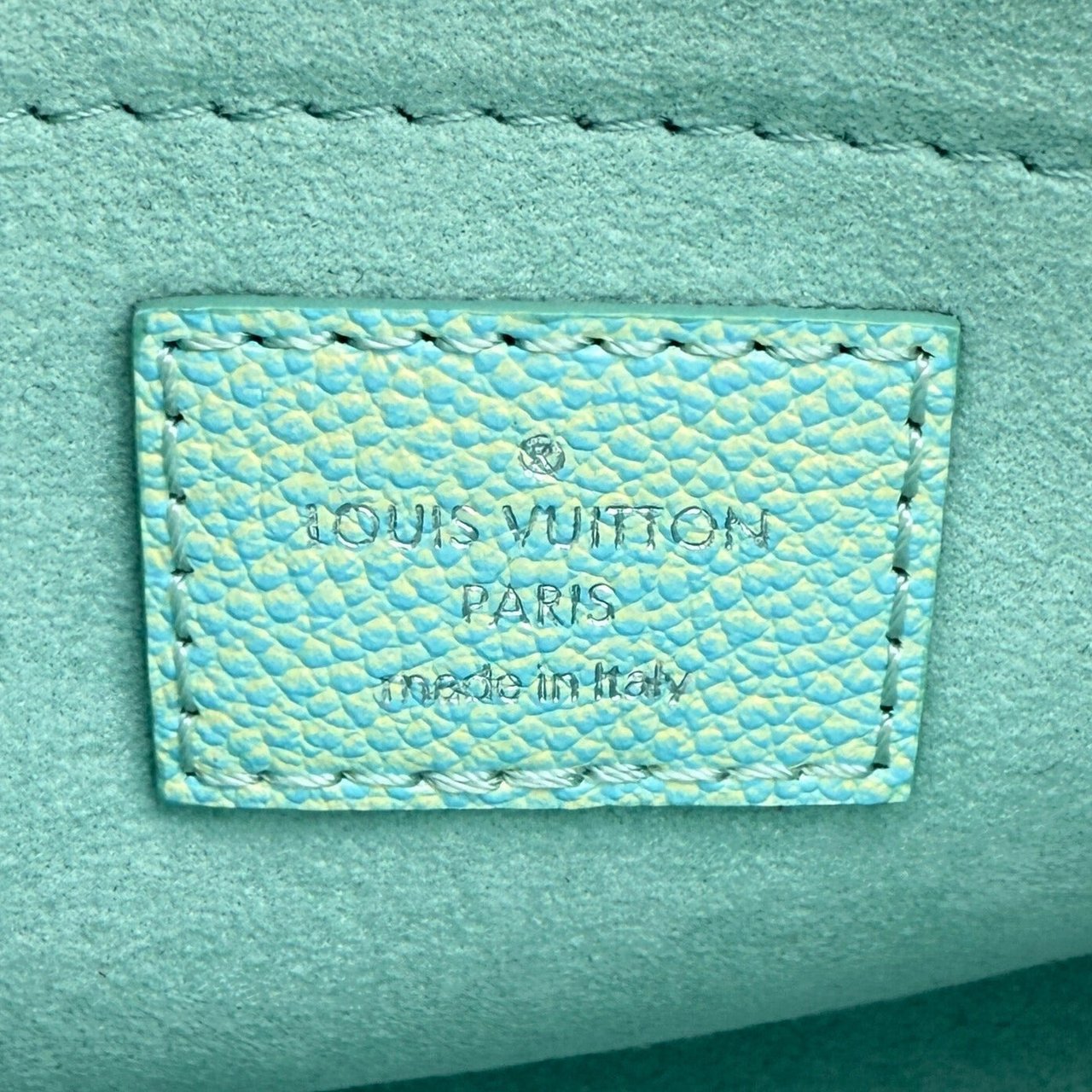 Louis Vuitton Louis Vuitton Speedy Bandoulière 20 Stardust M46092 / neuwertig Groen