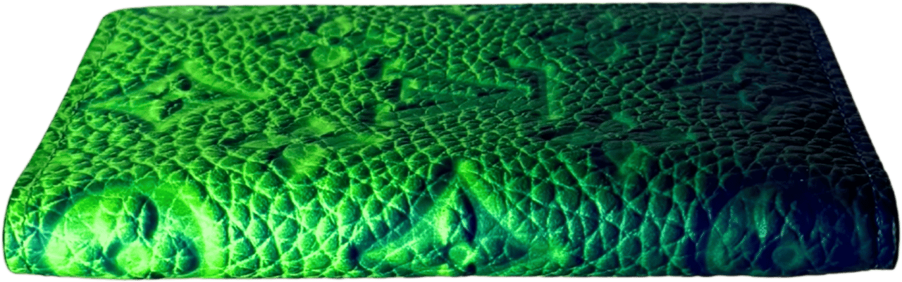 Louis Vuitton Louis Vuitton Pocket Organizer Taurillon Illusion Grün / neuwertig Blauw