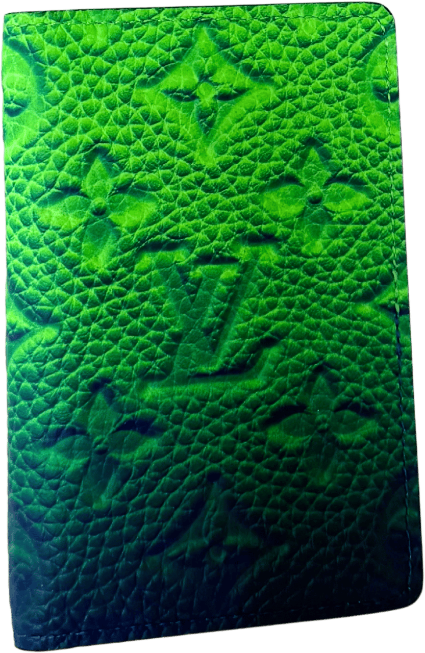 Louis Vuitton Louis Vuitton Pocket Organizer Taurillon Illusion Grün / neuwertig Blauw