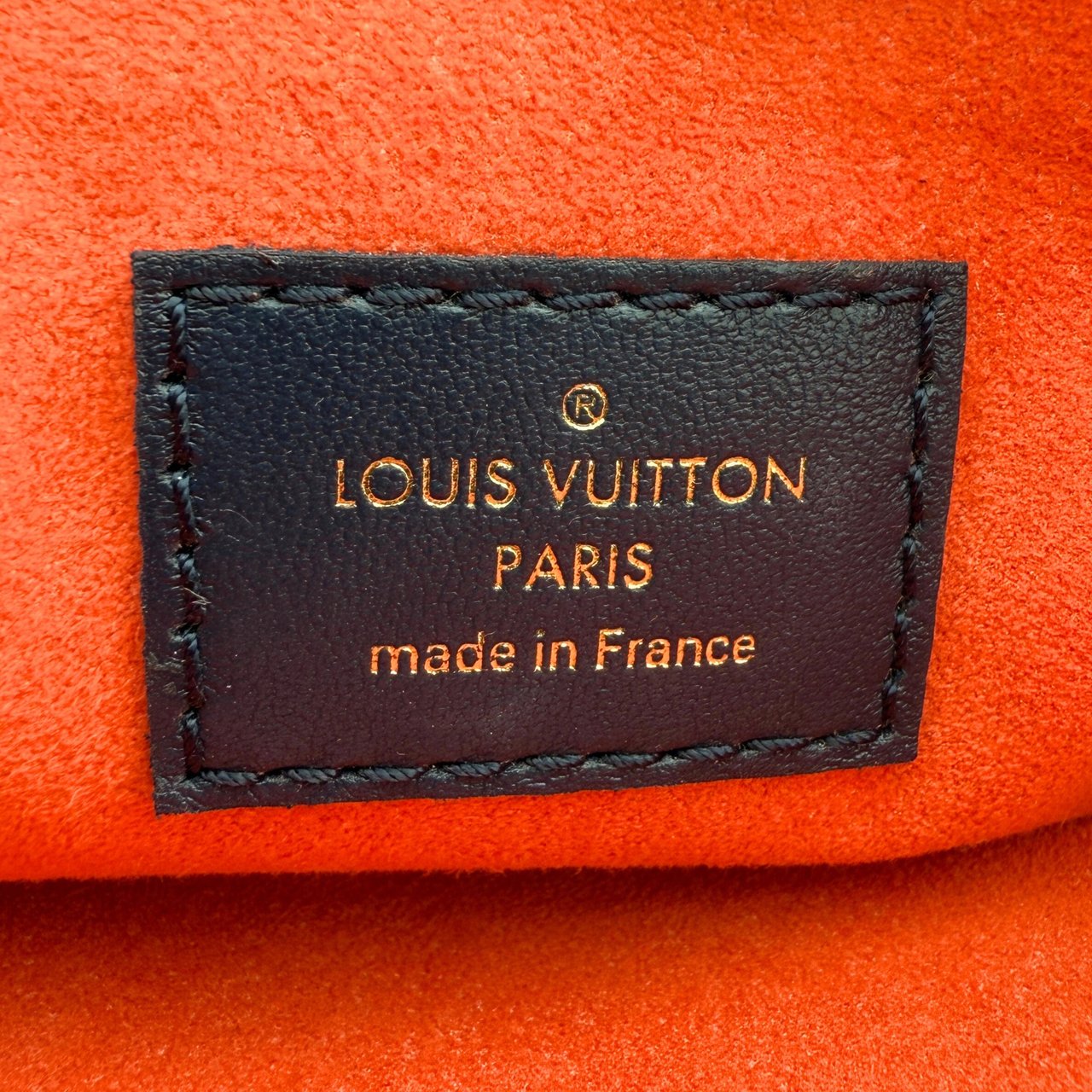 Louis Vuitton Louis Vuitton Coussin PM Garden Navyblau / sehr gut Blauw