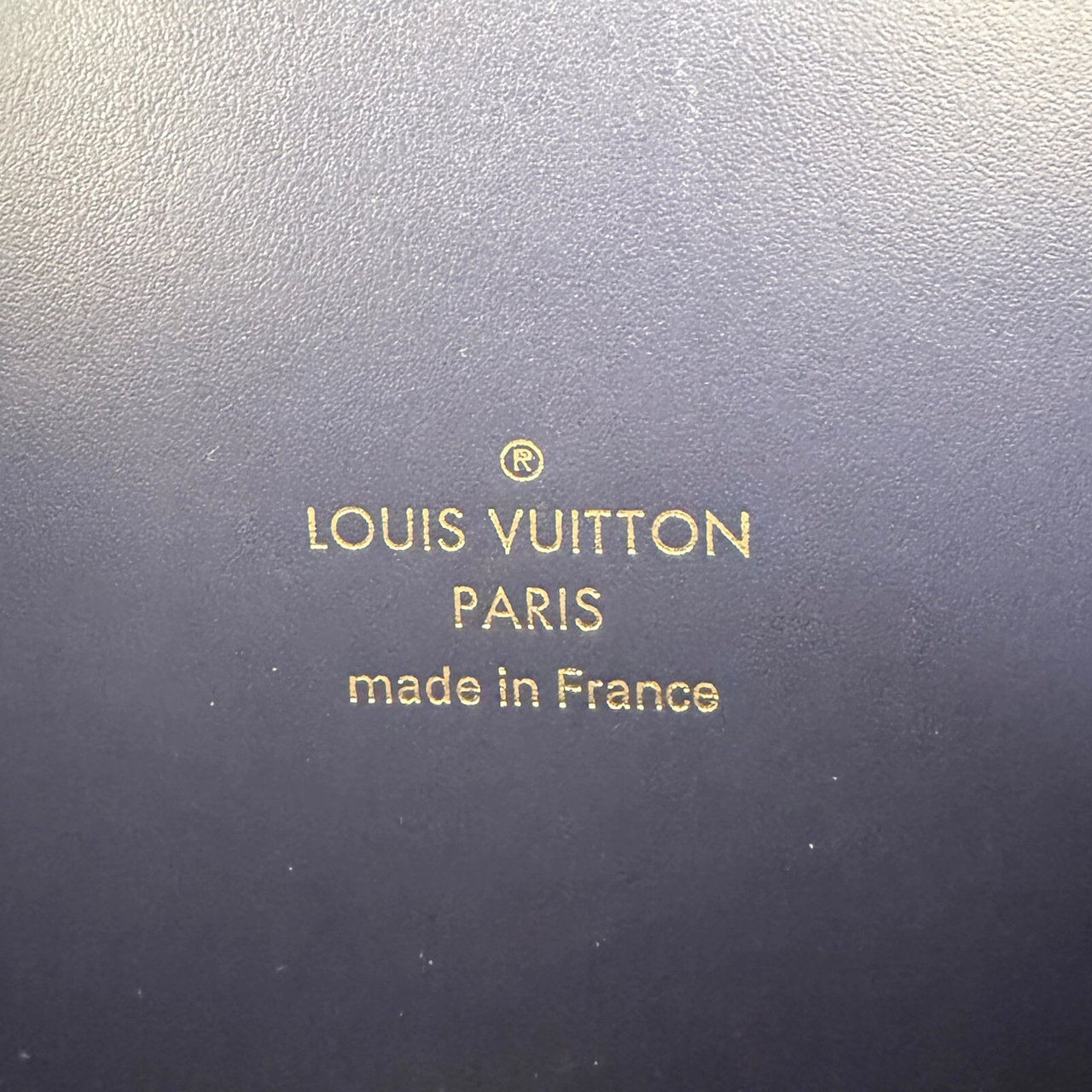 Louis Vuitton Speedy Bandouliere 20 Monoglam M23069 Full Set Blauw