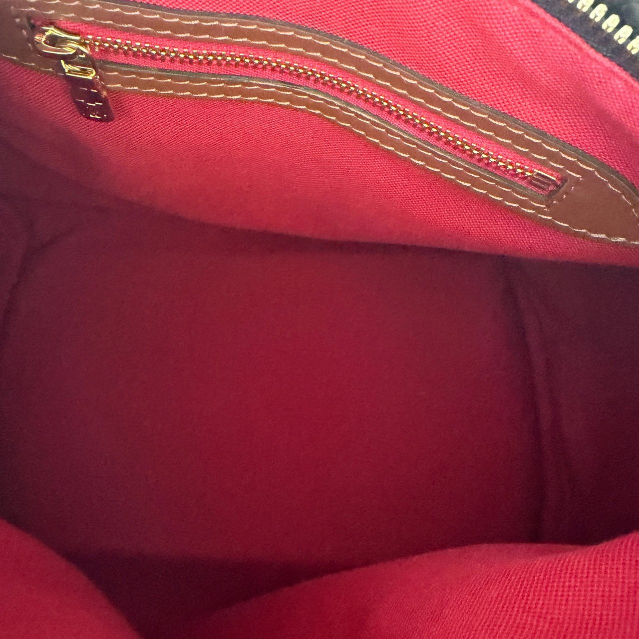 Louis Vuitton Monogram Teddy Speedy Bandouliere 25 M55422 Bruin
