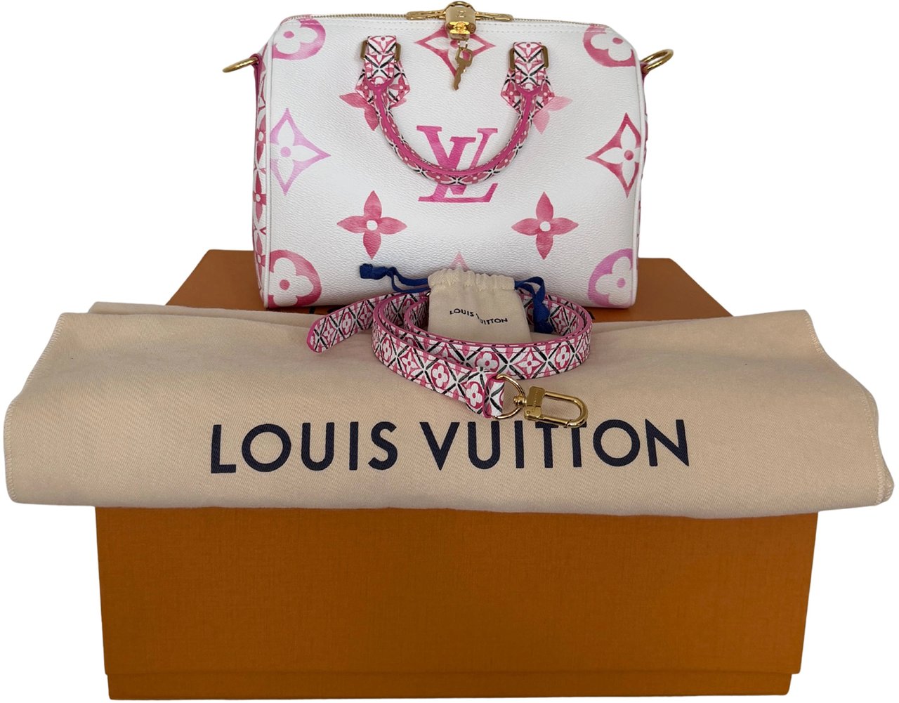 Louis Vuitton Speedy 25 By the Pool M23073 Full Set Roze