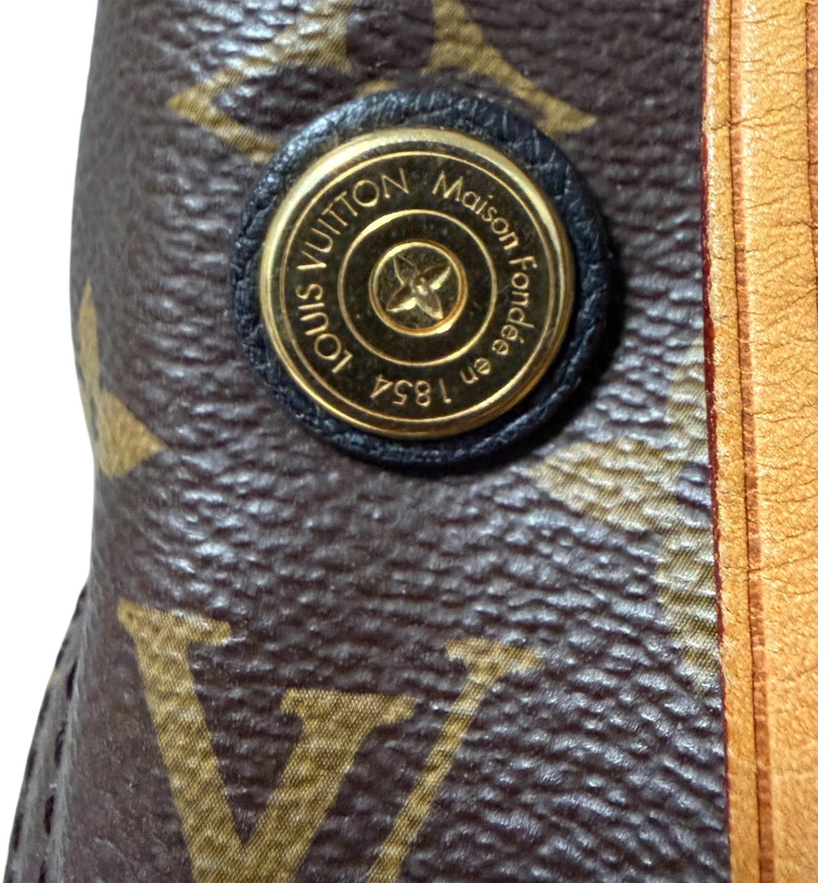 Louis Vuitton Gaia Monogram Canvas Shoulder Bag / good Bruin