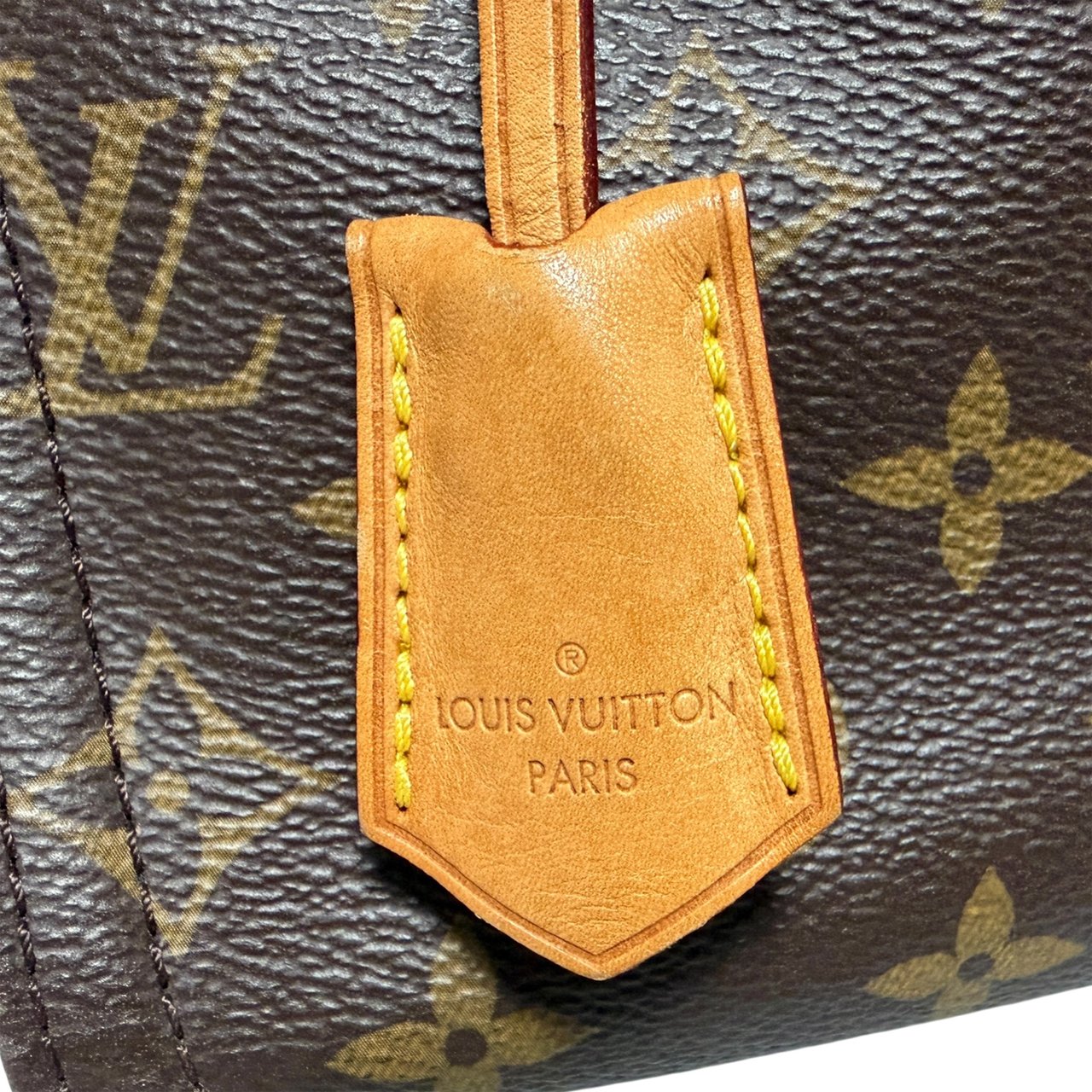 Louis Vuitton Gaia Monogram Canvas Shoulder Bag / good Bruin