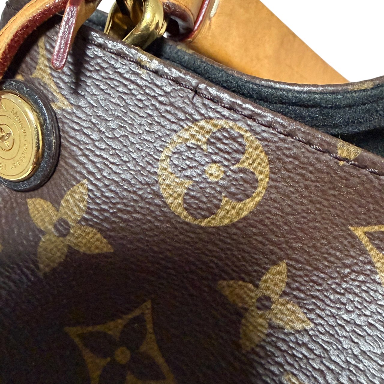 Louis Vuitton Gaia Monogram Canvas Shoulder Bag / good Bruin