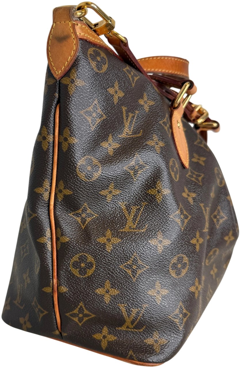 Louis Vuitton Palermo PM Monogram Canvas Bruin