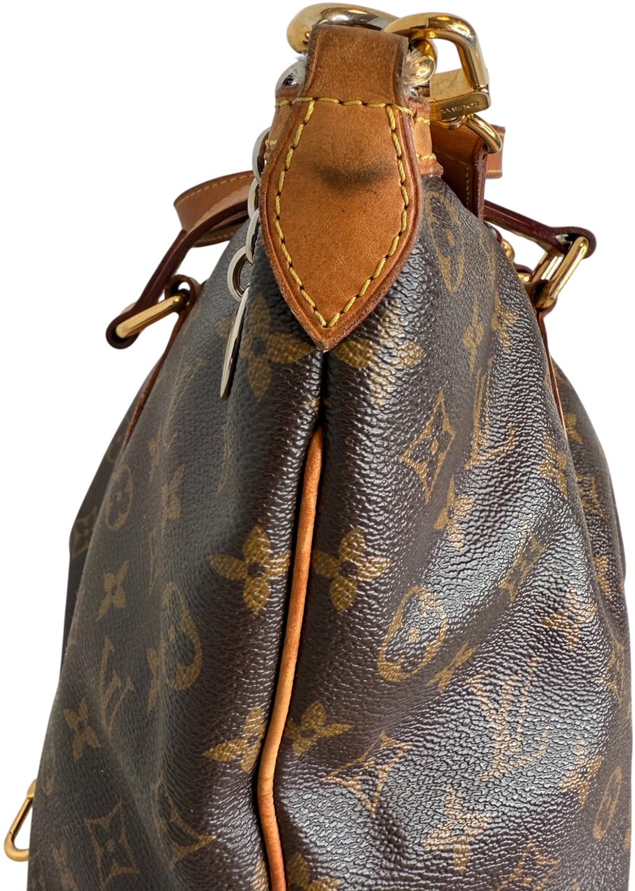 Louis Vuitton Palermo PM Monogram Canvas Bruin