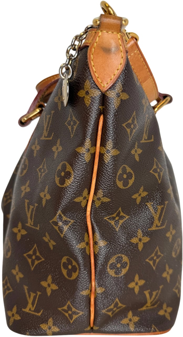 Louis Vuitton Palermo PM Monogram Canvas Bruin