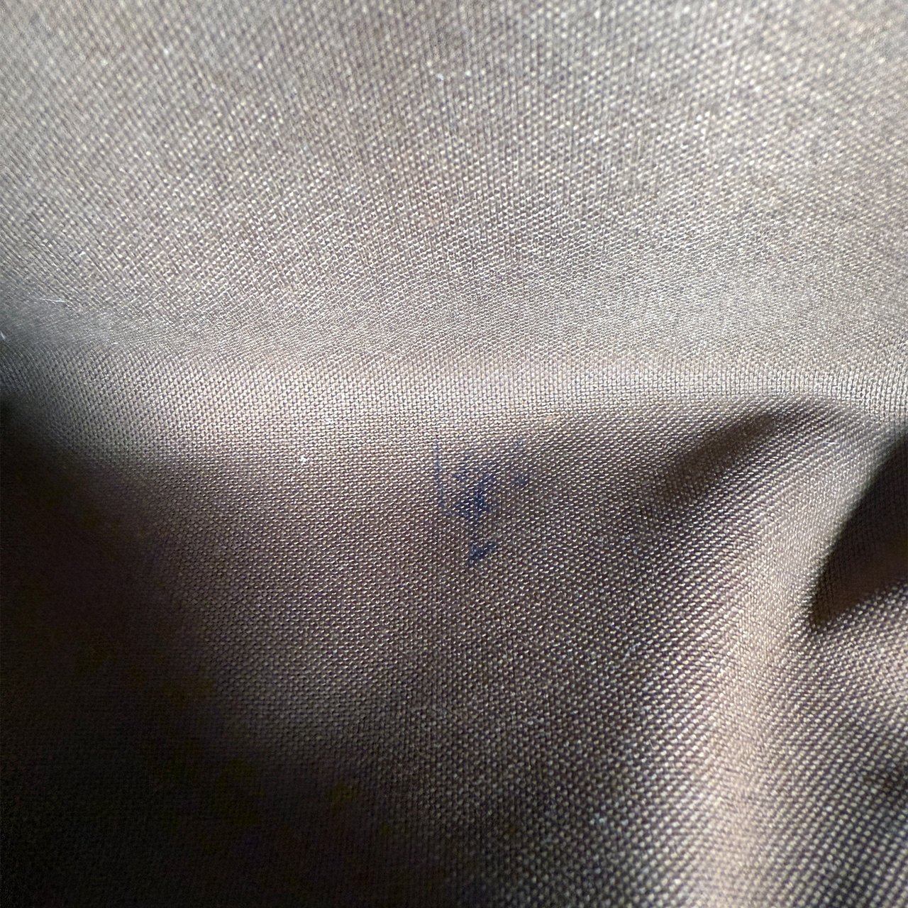 Louis Vuitton Palermo PM Monogram Canvas Bruin