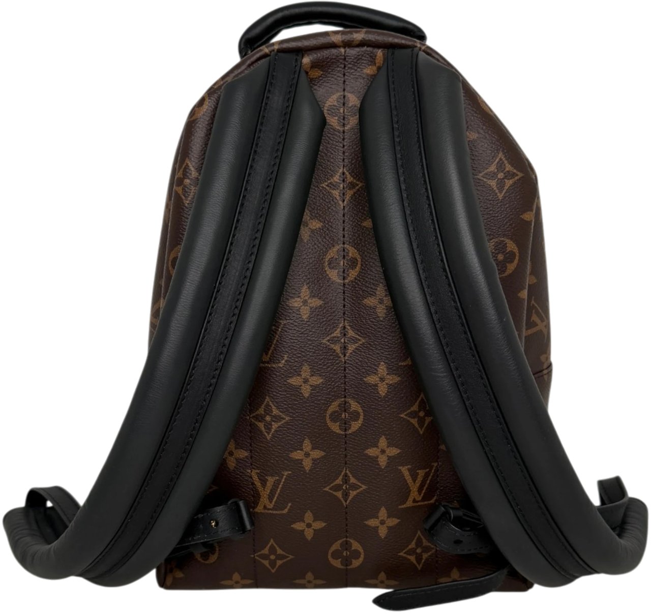 Louis Vuitton Palm Springs PM M44871 Monogram Canvas Bruin