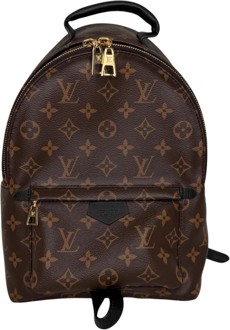 Louis Vuitton Palm Springs PM M44871 Monogram Canvas Bruin