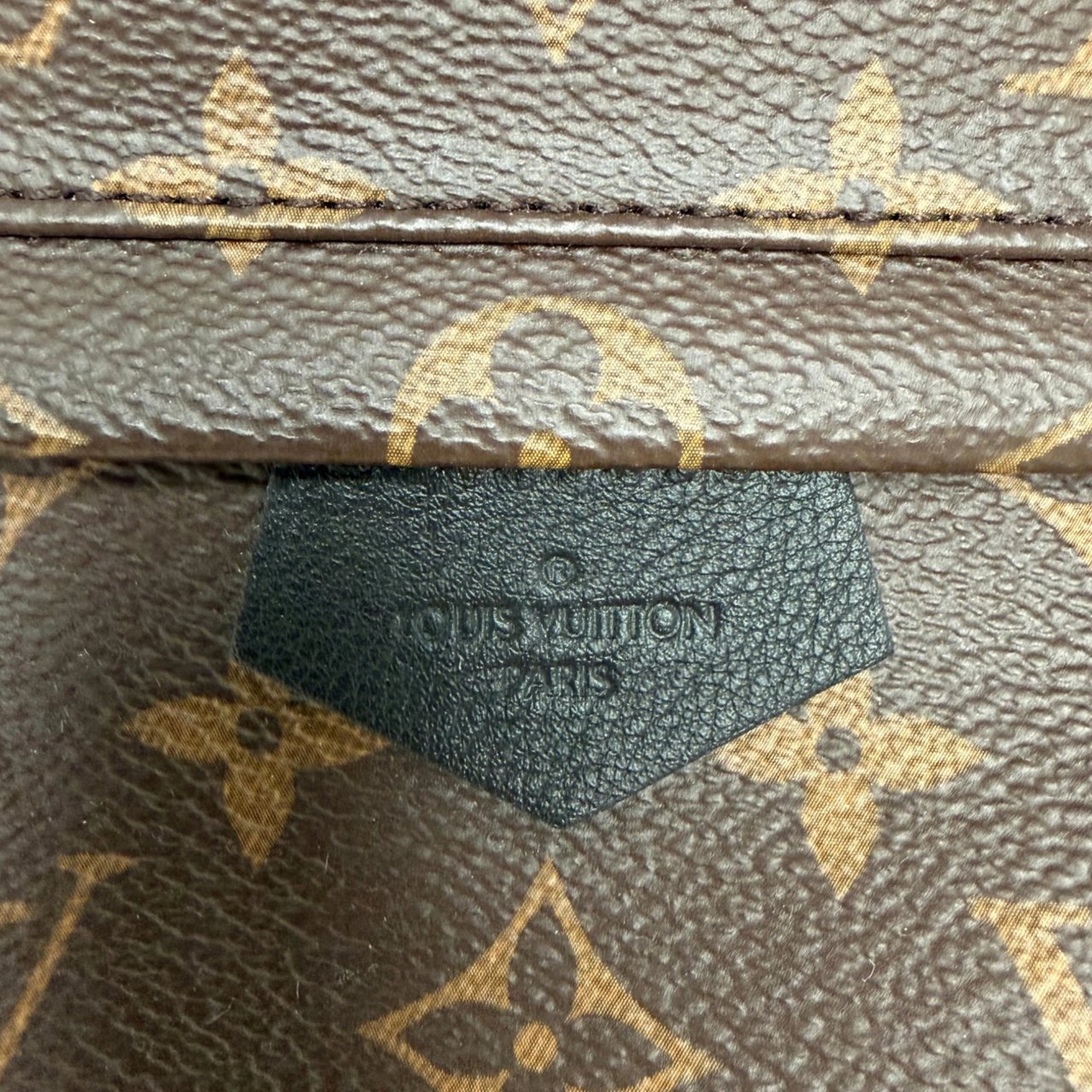 Louis Vuitton Palm Springs PM M44871 Monogram Canvas Bruin