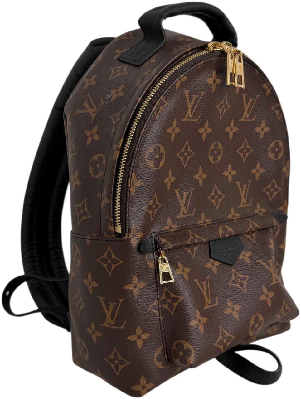 Louis Vuitton Palm Springs PM M44871 Monogram Canvas Bruin