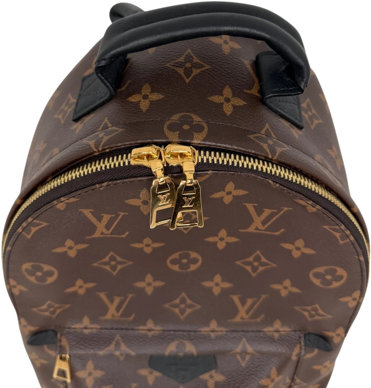 Louis Vuitton Palm Springs PM M44871 Monogram Canvas Bruin