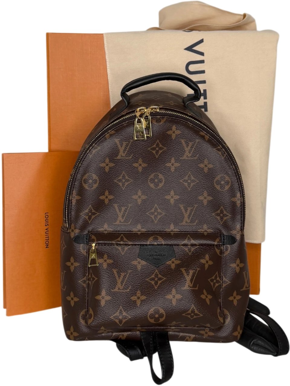 Louis Vuitton Palm Springs PM M44871 Monogram Canvas Bruin