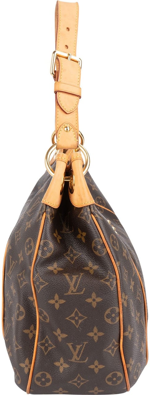Louis Vuitton Louis Vuitton Monogram Canvas Galliera PM Shoulder Bag Bruin