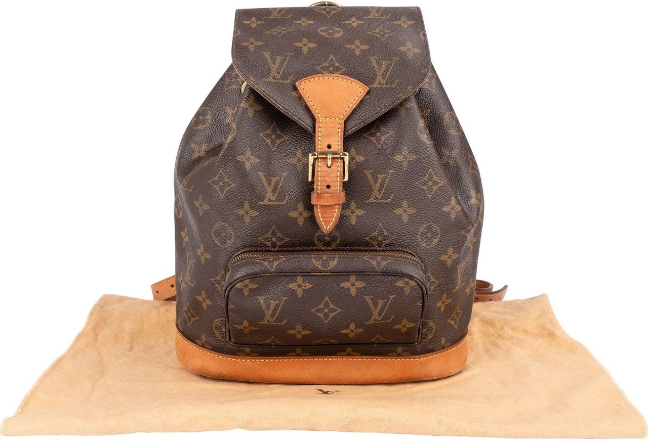 Louis Vuitton Louis Vuitton Monogram Canvas Montsouris MM Backpack Bruin