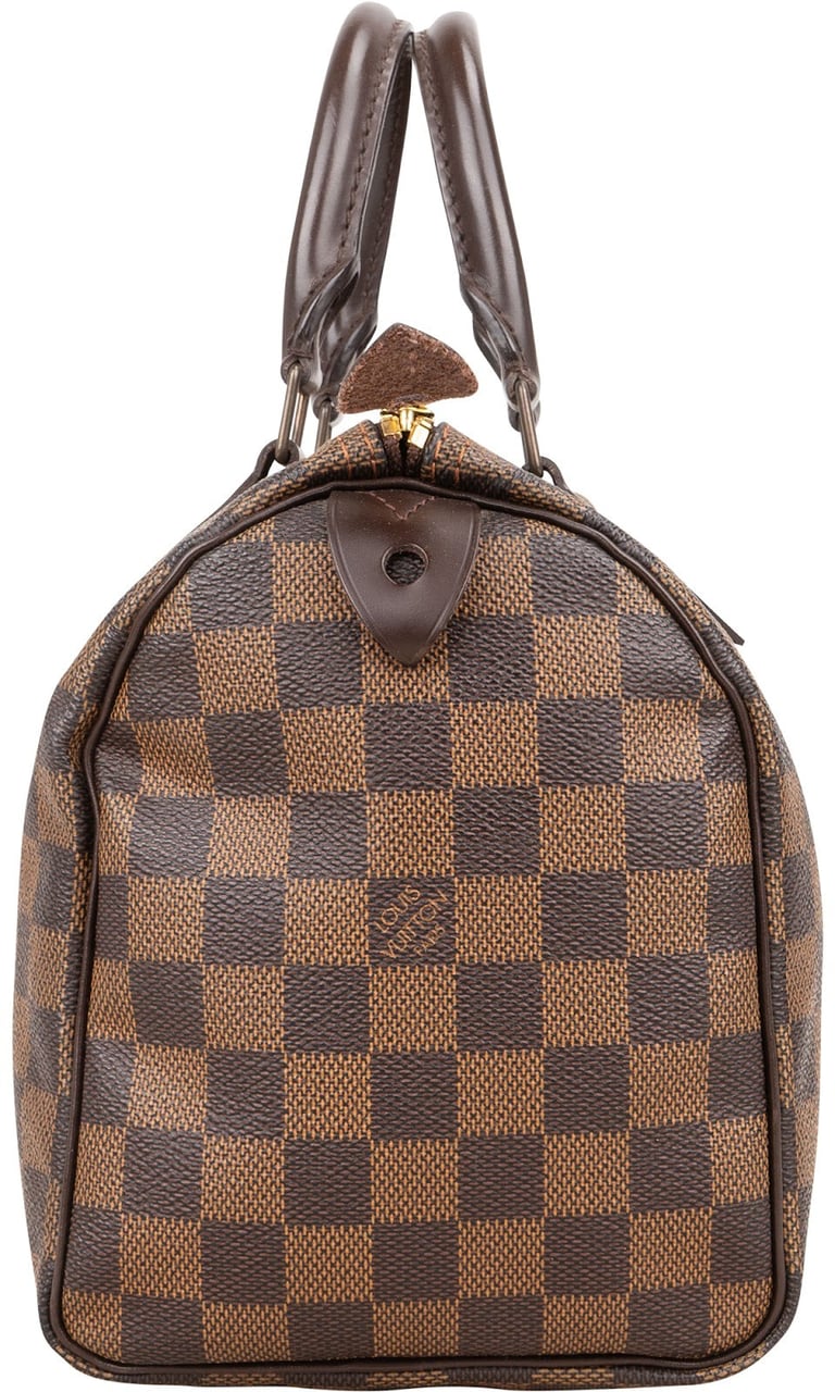 Louis Vuitton Louis Vuitton Monogram Damier Ebene Speedy 25 Handbag Bruin