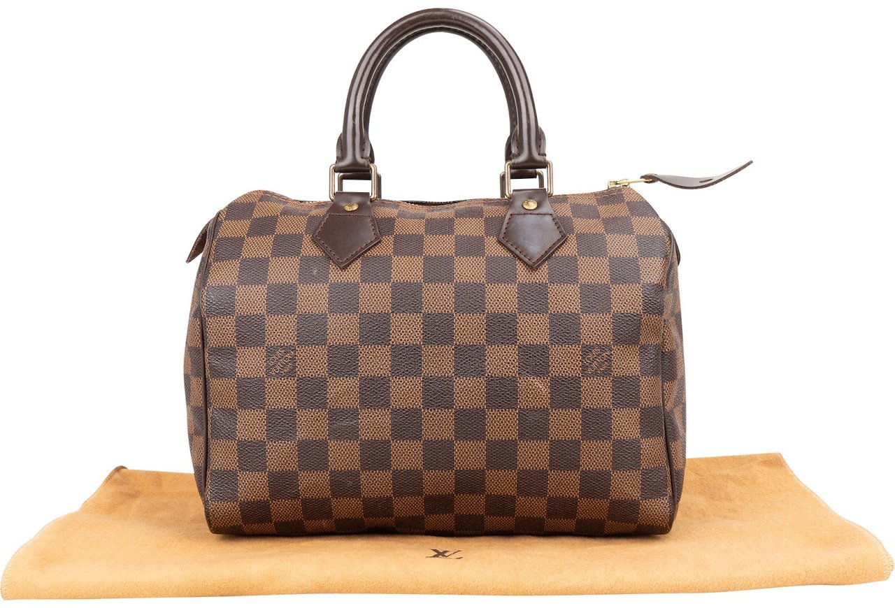 Louis Vuitton Louis Vuitton Monogram Damier Ebene Speedy 25 Handbag Bruin