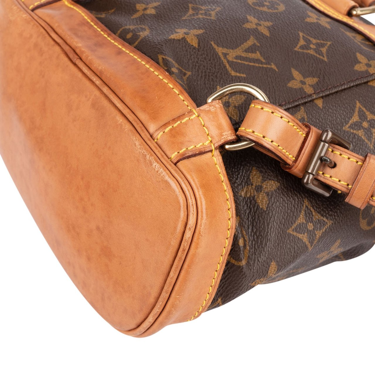 Louis Vuitton Louis Vuitton Monogram Canvas Montsouris PM Backpack Bruin